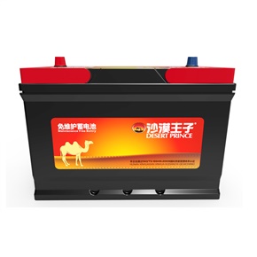 沙漠王子95D31R/L